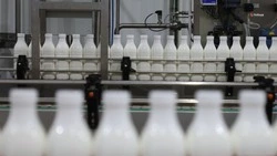 Экспорт мясной и молочной продукции нарастили на Ставрополье на 24%