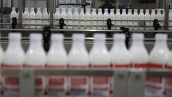 Ставрополье на 9% нарастило экспорт пищевой продукции
