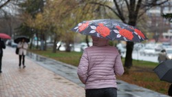 Малооблачная погода и небольшой дождь ожидаются в Донском 16 июня