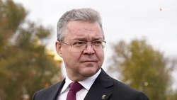 Губернатор Владимиров проинспектировал строительство нового парка в селе на Ставрополье 