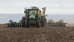Аграрии намолотили 5 млн тонн зерновых на Ставрополье