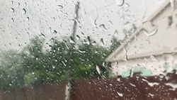 1 февраля в Труновском округе прогнозируют снег с дождём