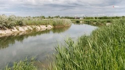 Второй этап расчистки русла реки Калаус завершили на Ставрополье