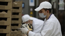 Число стран-импортёров ставропольской продукции выросло на 19%